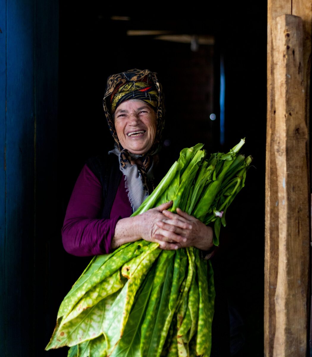 Elderly woman with a headscarf smiling while holding fresh tobacco leaves indoors.